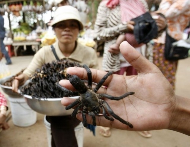 I don't think that this picture needs much introduction, these people are in fact eating spiders. These crunchy garlic seasoned spiders can be found on the streets of Cambodia going for as little as 2 for a dozen.