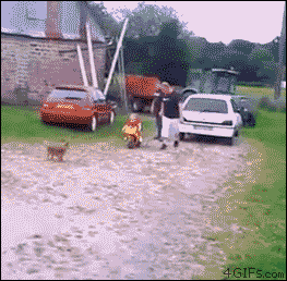 A Batch of Gifs and Silly Pics