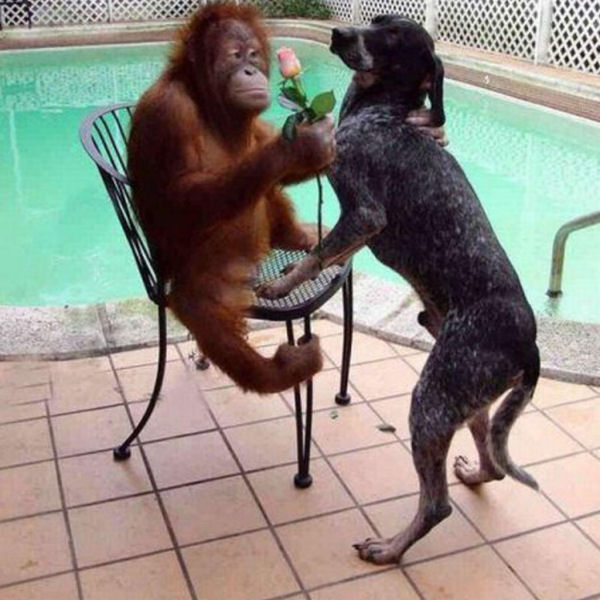 Dafuq You Lookin At?