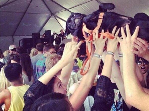 Dafuq You Lookin At?