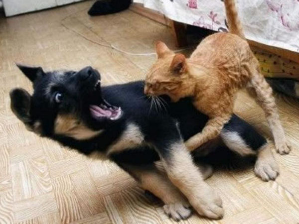 Welcome To The Internet