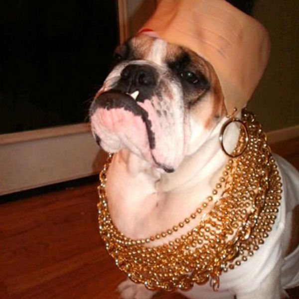 Welcome To The Internet