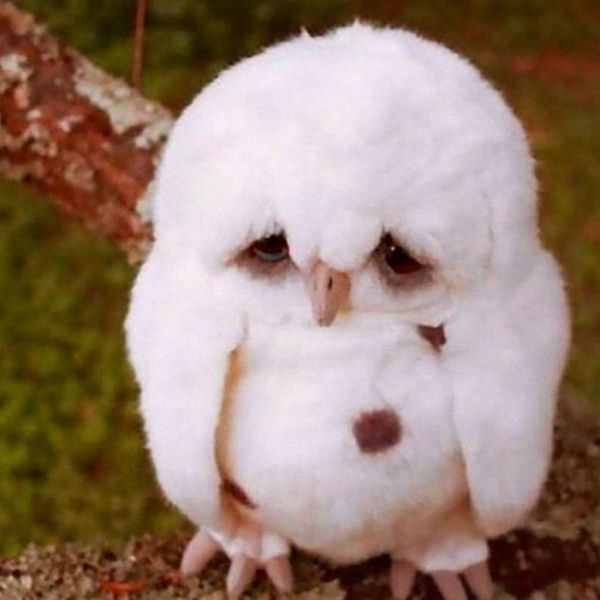 Welcome To The Internet