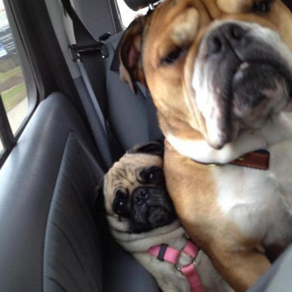 Welcome To The Internet