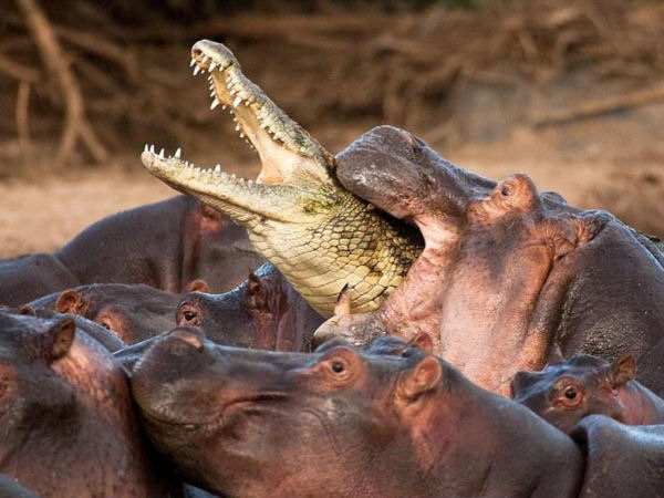 Welcome To The Internet