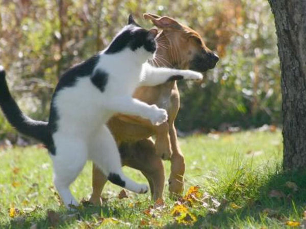 Welcome To The Internet