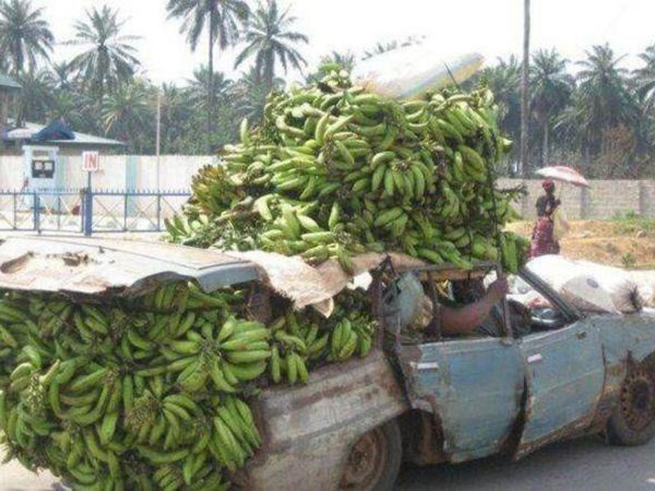 Welcome To The Internet