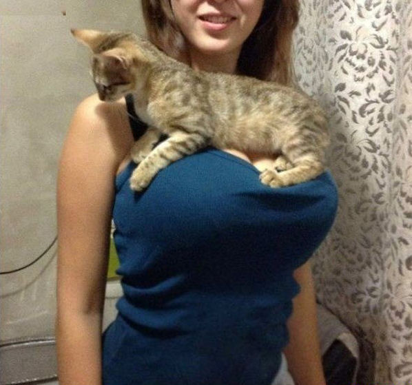 Welcome To The Internet