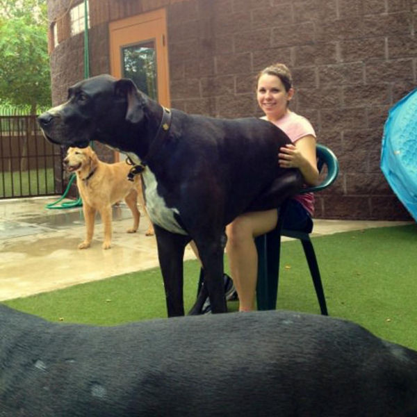 Welcome To The Internet