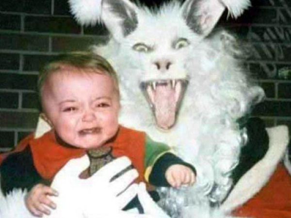 Welcome To The Internet