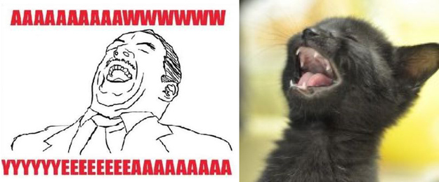 17 Cats Reenacting Internet Memes Rage Faces