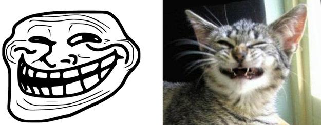 17 Cats Reenacting Internet Memes Rage Faces
