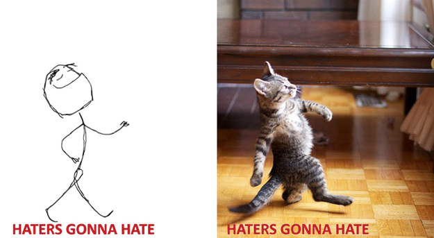 17 Cats Reenacting Internet Memes Rage Faces
