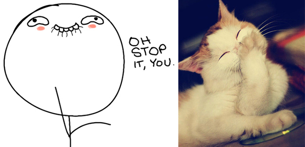 17 Cats Reenacting Internet Memes Rage Faces