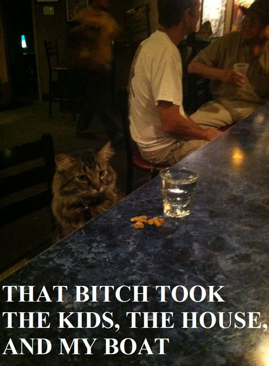 Dafuq You Lookin At?