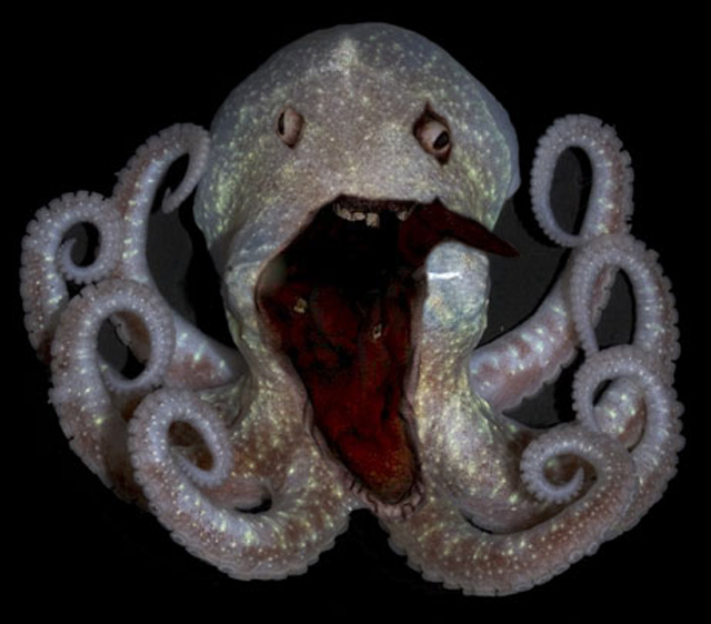 Sea Creatures That Will Make You Cringe!