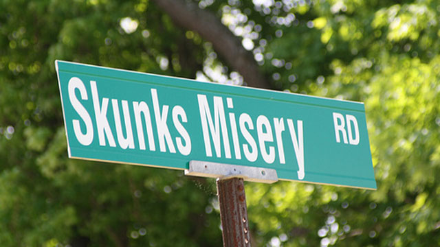 20 W.T.F. Street Names