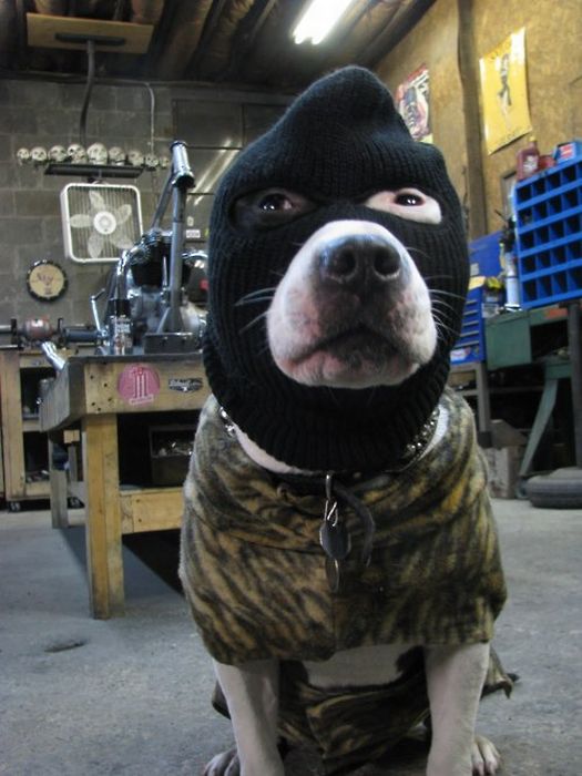 You Should Be Working