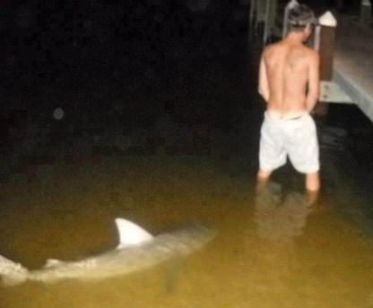 You Should Be Working