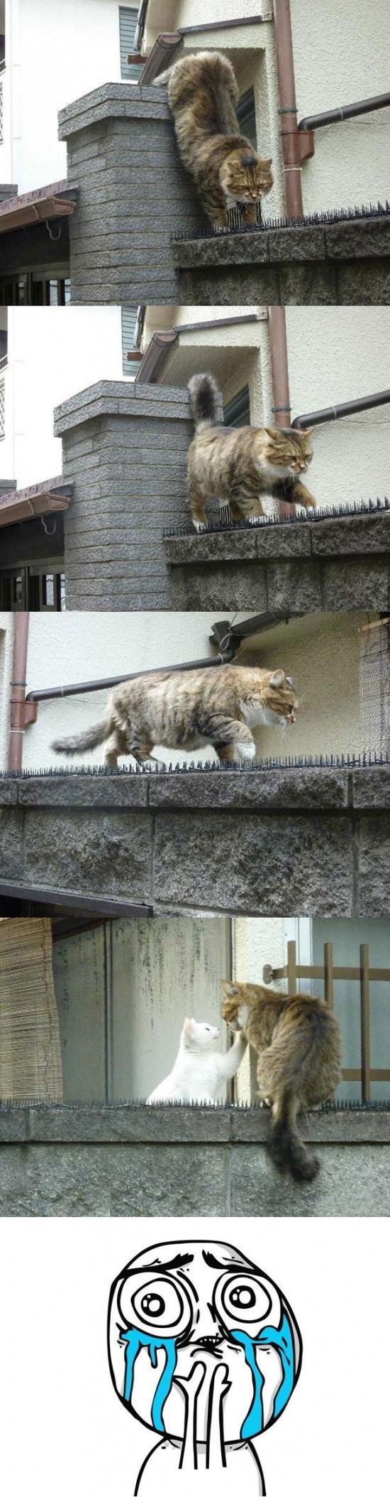 Obscene and Absurd Gallery eBaum's World