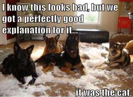 You Should Be Working