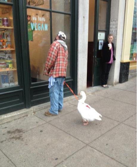 You Should Be Working