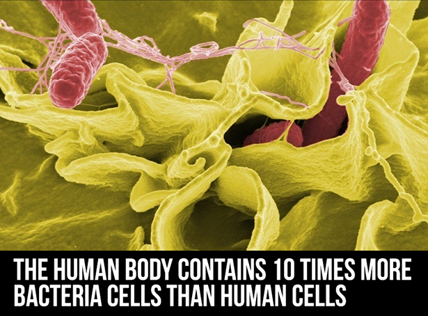24 Facts About The Human Body