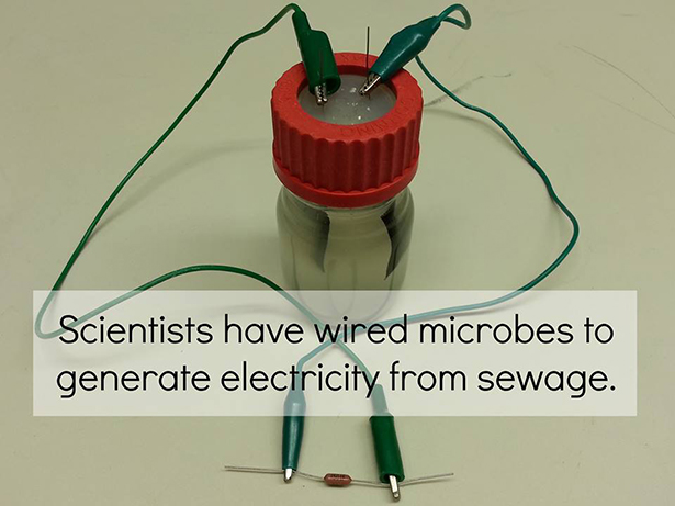 microbial bio battery - Scientists have wired microbes to generate electricity from sewage.