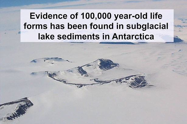 arctic - Evidence of 100,000 yearold life forms has been found in subglacial lake sediments in Antarctica