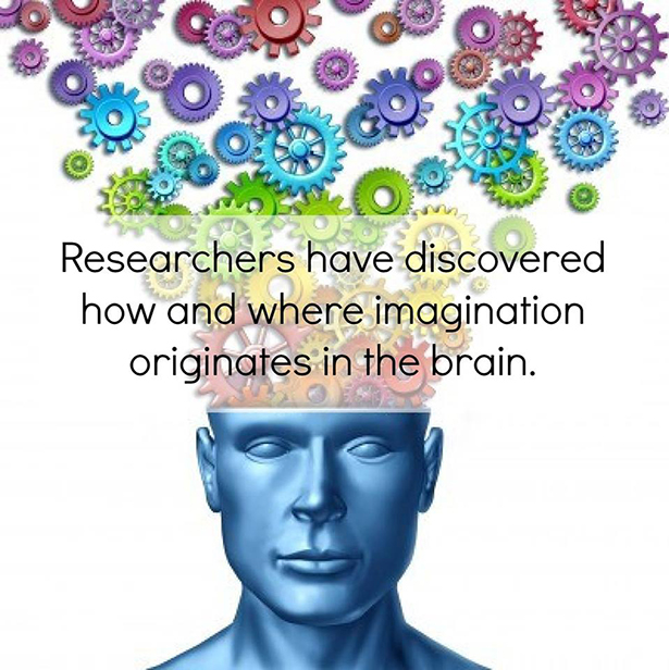 creative thinking - O Researchers have discovered how and where imagination originates in the brain.
