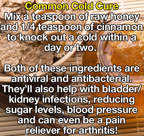 Health - Common Cold Cure Mix a teaspoon of raw honey and 14 teaspoon of cinnamon to knock out a cold within a day or two. Both of these ingredients are antiviral and antibacterial. They'll also help with bladder kidney infections, reducing sugar levels, 