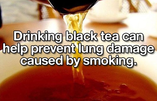 sign2sing - Drinking black tea can help prevent lung damage caused by smoking.
