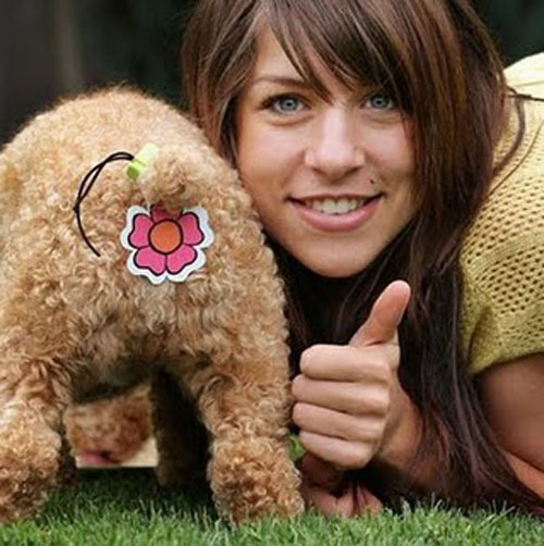 22 Useless Inventions That Will Leave You Scratching Your Head