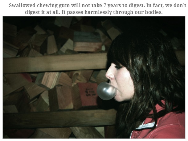 photo caption - Swallowed chewing gum will not take 7 years to digest. In fact, we don't digest it at all. It passes harmlessly through our bodies.