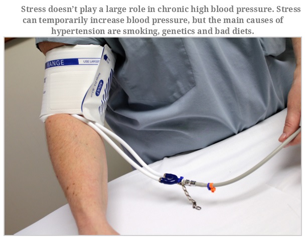 disposable blood pressure cuff - Stress doesn't play a large role in chronic high blood pressure. Stress can temporarily increase blood pressure, but the main causes of hypertension are smoking, genetics and bad diets. Use Large Gange