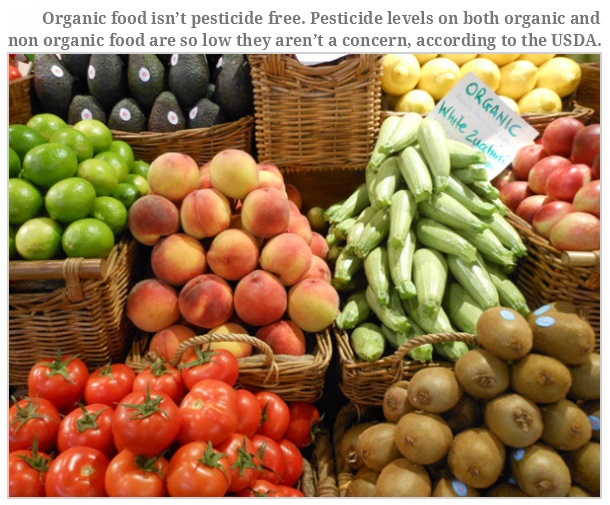 organic vs conventional food debate - Organic food isn't pesticide free. Pesticide levels on both organic and non organic food are so low they aren't a concern, according to the Usda. Organic White Zucchi