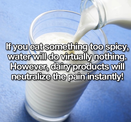 raw milk - If you eat something too spicy, water will do virtually nothing. However, dairy products will neutralize the pain instantly!