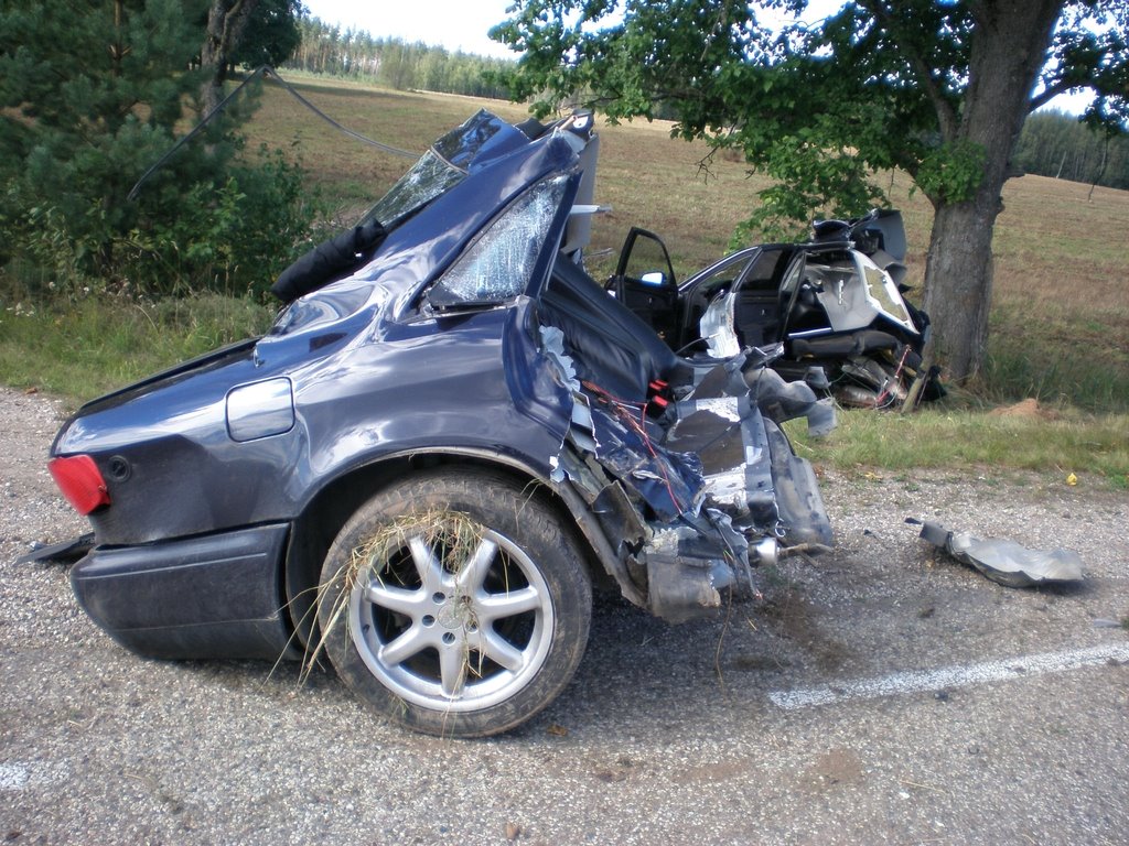 25 W.T.F. Automobile Accidents