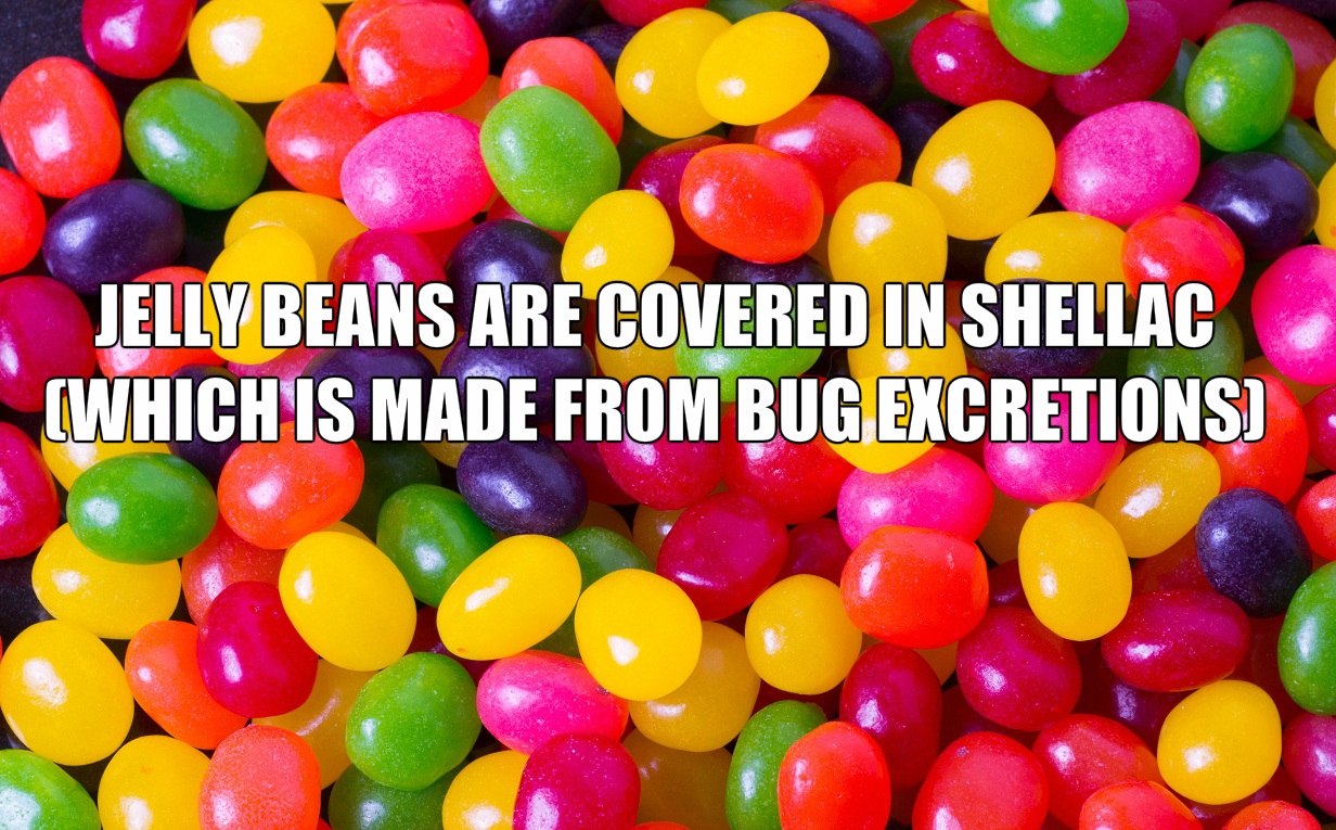 22 Disturbing Facts You Might Regret Knowing