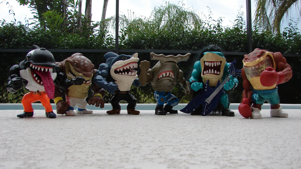 This is the Street Shark Collection.