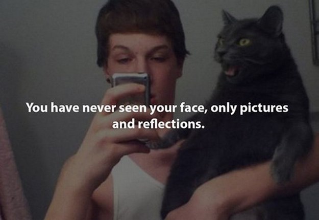 cat mirror selfie - You have never seen your face, only pictures and reflections.