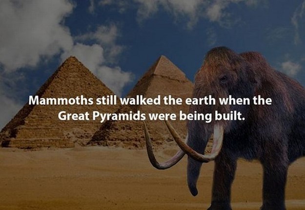 great pyramid of giza - Mammoths still walked the earth when the Great Pyramids were being built.