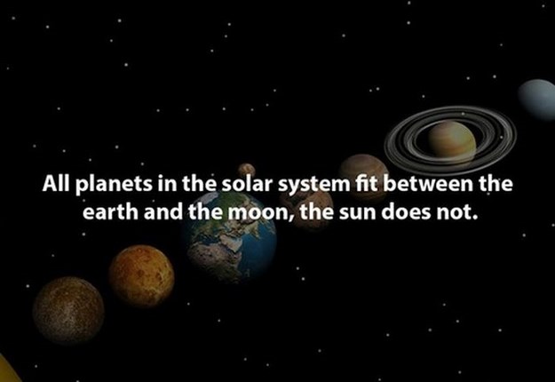 All planets in the solar system fit between the earth and the moon, the sun does not.