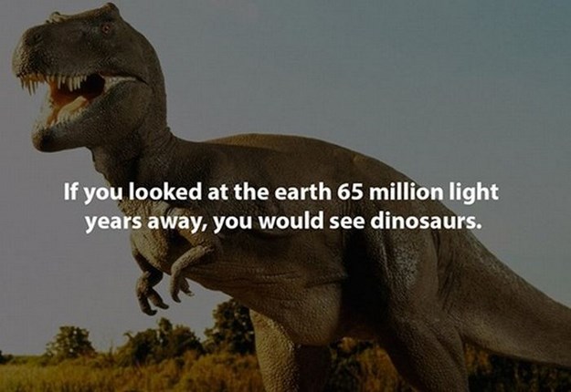 If you looked at the earth 65 million light years away, you would see dinosaurs.