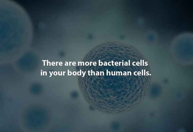 atmosphere - There are more bacterial cells in your body than human cells.