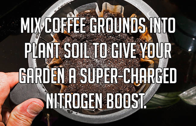 photo caption - Mix Coffee Grounds Into Plant Soil To Give Your Garden A SuperCharged Nitrogen Boost
