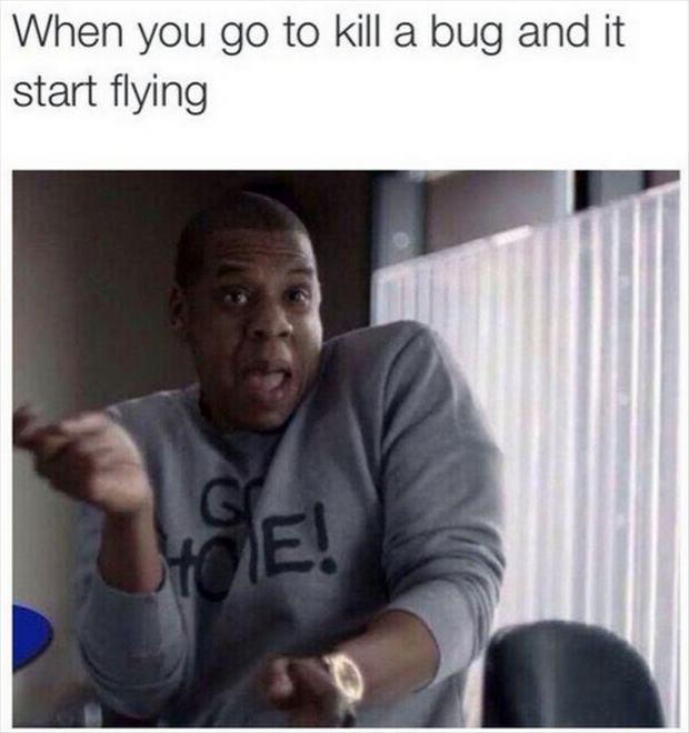 funny memes relatable life memes - When you go to kill a bug and it start flying