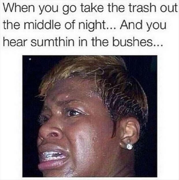 funniest relatable memes - When you go take the trash out the middle of night... And you hear sumthin in the bushes...