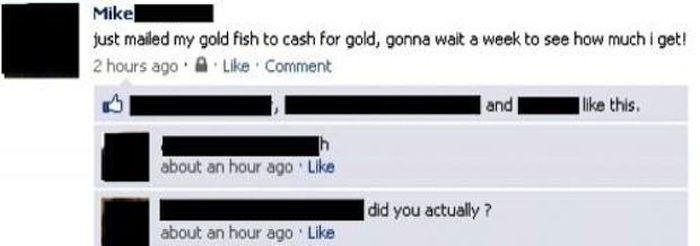 multimedia - Mike just mailed my gold fish to cash for gold, gonna wait a week to see how much i get! 2 hours ago Comment and I this. about an hour ago did you actually? about an hour ago