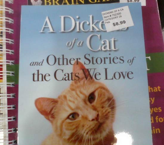 poorly placed stickers - $8.99 Dickens Of Aca Item 702300 Category 29 $8.99 Hiti A Dicke som of a Cat and Other Stories of the Cats We Love hat y yes i fol